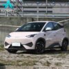 BYD Seagull 305KM Freedom: 전기 해치백