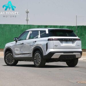 CHERY Explorer 06 C - DM Standard Model