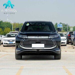 BYD Guardianship 07 2024 Honor DM - i 205KM Flagship