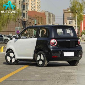 Changan Lumin 2025 301KM Cute Baby