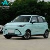 CHERY New Energy Domi 305KM Comfort Edition
