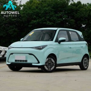 CHERY New Energy Domi 305KM Comfort Edition