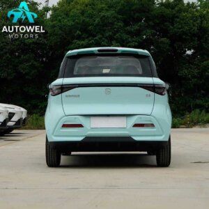 CHERY New Energy Domi 305KM Comfort Edition