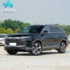 BYD Guardianship 07 2024 Honor DM - i 205KM Flagship