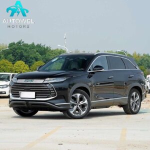 BYD Guardianship 07 2024 Honor DM - i 205KM Flagship