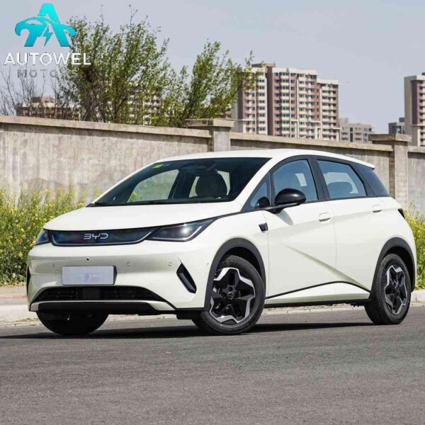 BYD Dolphin 420KM Free Edition
