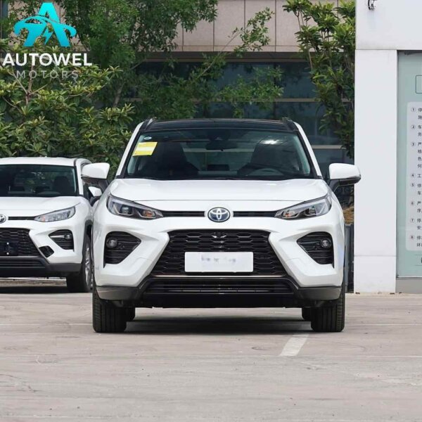 GAC Toyota Wildlander 2.5L Two-Wheel Drive Luxury PLUS Edition