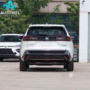 GAC Toyota Wildlander 2.5L Two-Wheel Drive Luxury PLUS Edition