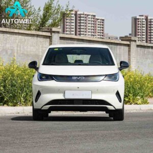 BYD Dolphin 420KM Free Edition
