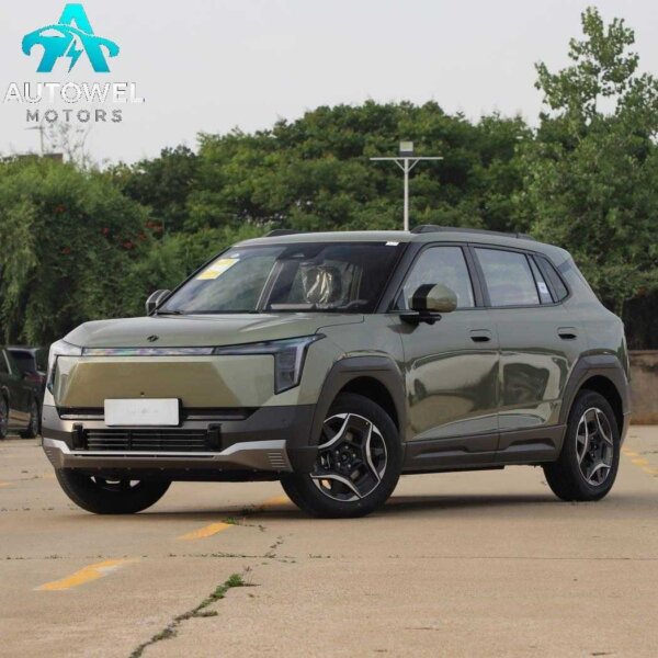 2025 Dongfeng Nammi 06 401 Pro