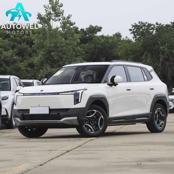 Dongfeng Nammi 06 471 Travel Edition 2025