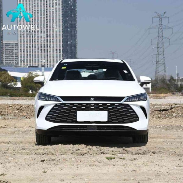 BYD Qin PLUS DM-i 120KM Ultra