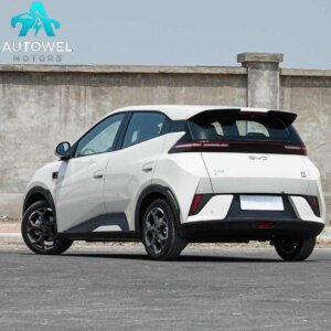 BYD 갈매기 405KM 비행