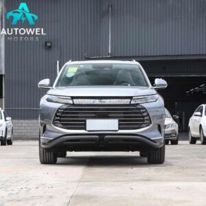 Byd Guardianship 07 2024 Honor DM -I 100kmエリート