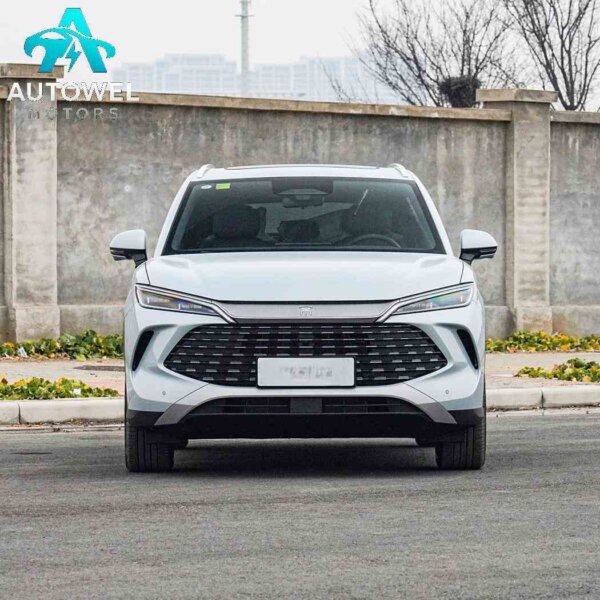 YD Song L DM - i intelligent driving version 75KM leading model