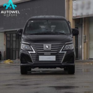 Dongfeng Forthing Lingzhi New Energy 110km Range-Extended Basic 5-Seater