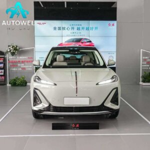 Hongqi Tiangong 06 520 Smart Selection Edition