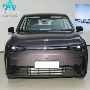 Leapmotor C10 210 Enjoy Edition