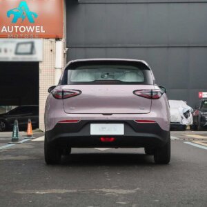 2025 Geely Geome 310km Youth Edition