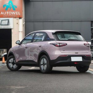 2025 Geely Geome 310km Youth Edition