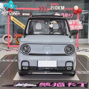 Geely Panda 210km Panda Kart