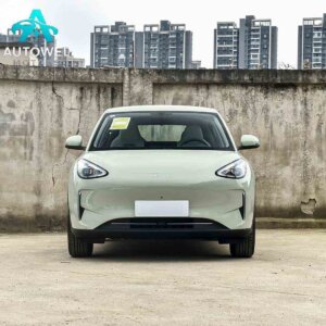 Geely Geome 2025 310km Dream Edition