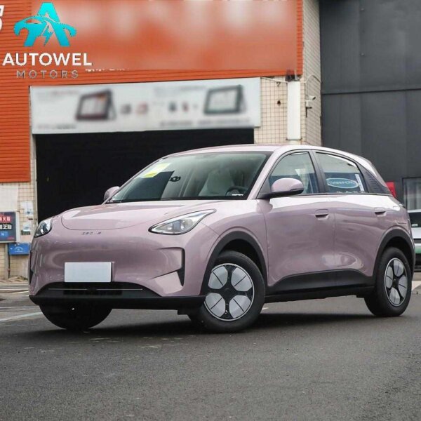 2025 Geely Geome 310km Youth Edition