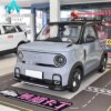 Geely Panda 210km Panda Kart