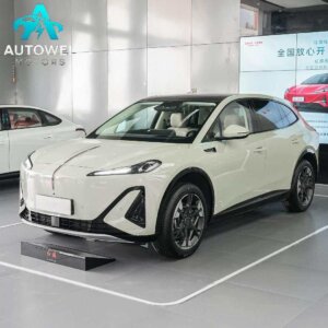 Hongqi Tiangong 06 520 Smart Selection Edition