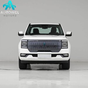 Grand Avenue EV 2024 Premium Long Range 501km