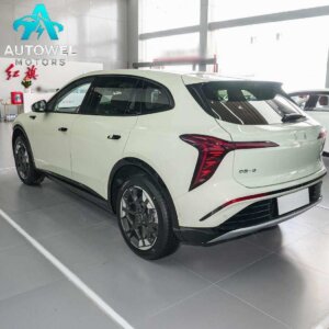 Hongqi Tiangong 06 520 Smart Selection Edition