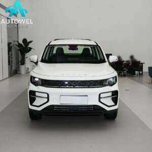 Geely Radar Jinguang 430km 2WD Standard Box