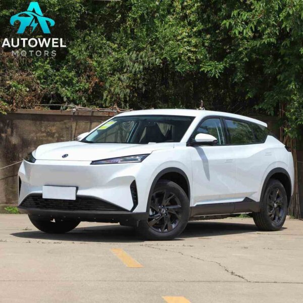 2025 Dongfeng SKY EV01 445km AIR
