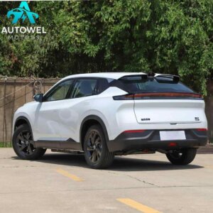 2025 Dongfeng SKY EV01 445km AIR