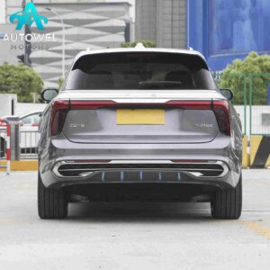 Hongqi E - HS9 660km Flag Edition 4 - seater