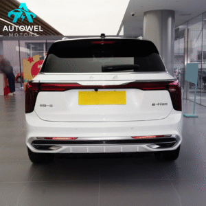Hongqi E - HS9 2025 690km Qi Xiang Edition Six - Seater