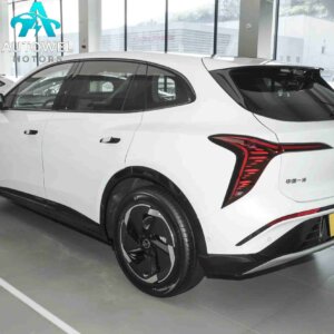 2025 Hongqi Tian Gong 06 700 Smart Selection Edition