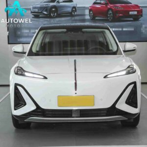 2025 Hongqi Tian Gong 06 700 Smart Selection Edition