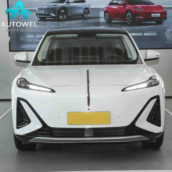 2025 Hongqi Tian Gong 06 700 Smart Selection Edition
