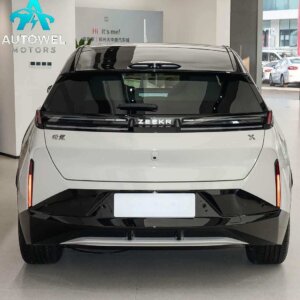 Zeeker X Four-Seater Rear-Wheel Drive Cube Edition