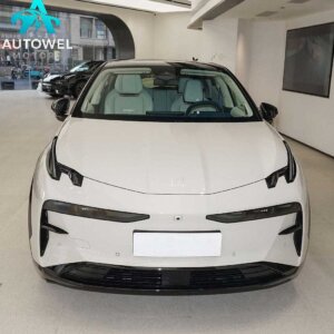 Zeeker X Four-Seater Rear-Wheel Drive Cube Edition