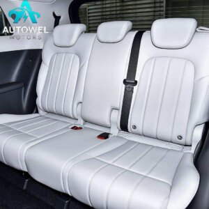 Voyah Dreamer PHEV Quad - Drive Excellence Qiankun Edition